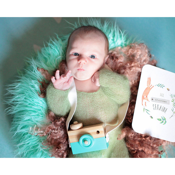 Faux Fur Posing Pillow Nest Prop for Newborn